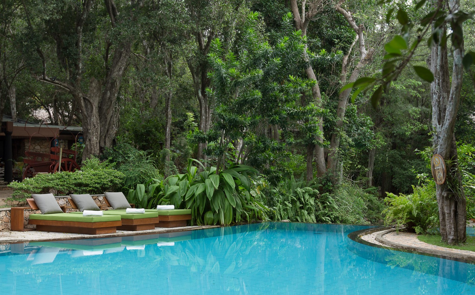 A curving pool with cushioned loungers, surrounded by forest.